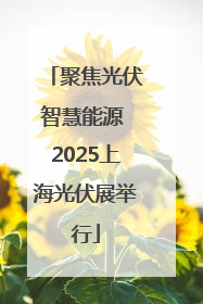 聚焦光伏智慧能源 2025上海光伏展举行