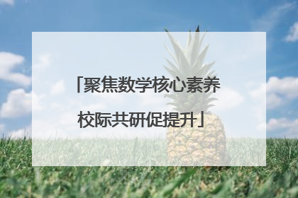 聚焦数学核心素养 校际共研促提升