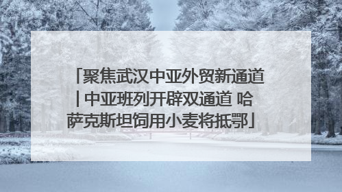 聚焦武汉中亚外贸新通道│中亚班列开辟双通道 哈萨克斯坦饲用小麦将抵鄂