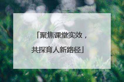聚焦课堂实效，共探育人新路径