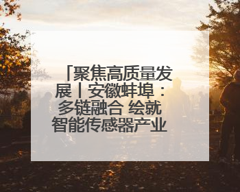 聚焦高质量发展丨安徽蚌埠：多链融合 绘就智能传感器产业新图景
