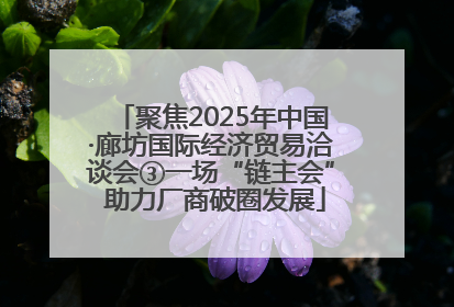 聚焦2025年中国·廊坊国际经济贸易洽谈会③一场“链主会” 助力厂商破圈发展