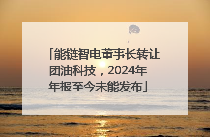 能链智电董事长转让团油科技，2024年年报至今未能发布