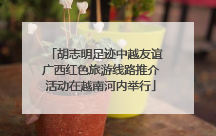 胡志明足迹中越友谊广西红色旅游线路推介活动在越南河内举行