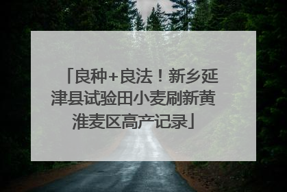 良种+良法！新乡延津县试验田小麦刷新黄淮麦区高产记录