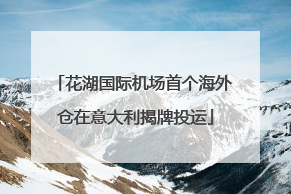 花湖国际机场首个海外仓在意大利揭牌投运