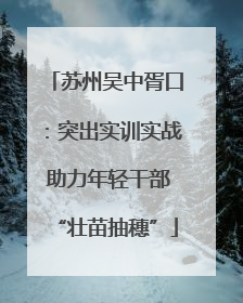 苏州吴中胥口：突出实训实战 助力年轻干部“壮苗抽穗”