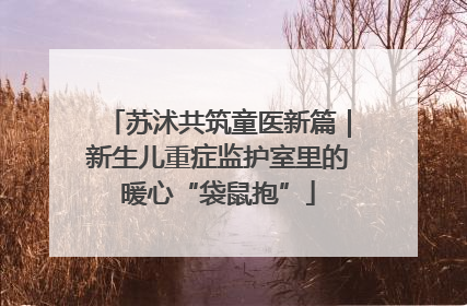 苏沭共筑童医新篇｜新生儿重症监护室里的暖心“袋鼠抱”