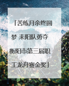苦练月余终圆梦 耒阳队勇夺衡阳市第三届职工龙舟赛金奖