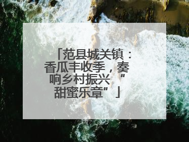 范县城关镇：香瓜丰收季，奏响乡村振兴 “甜蜜乐章”