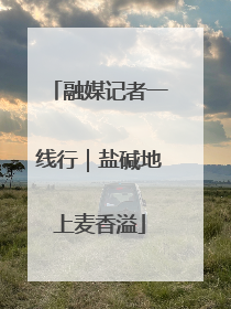 融媒记者一线行｜盐碱地上麦香溢