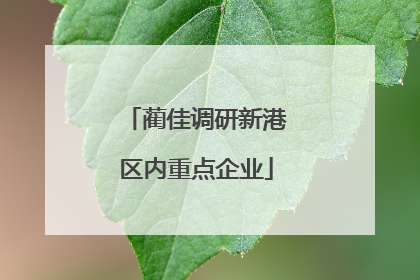 蔺佳调研新港区内重点企业