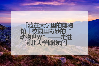 藏在大学里的博物馆丨校园里奇妙的“动物世界”——走进河北大学博物馆