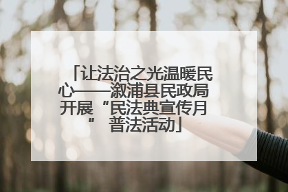 让法治之光温暖民心——溆浦县民政局开展“民法典宣传月” 普法活动