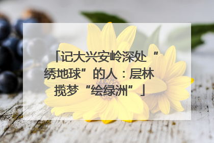 记大兴安岭深处“绣地球”的人：层林揽梦“绘绿洲”