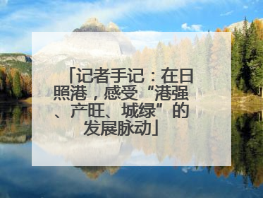 记者手记：在日照港，感受“港强、产旺、城绿”的发展脉动