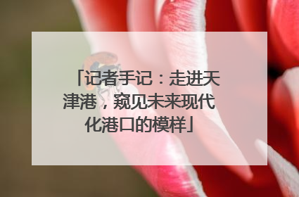 记者手记：走进天津港，窥见未来现代化港口的模样