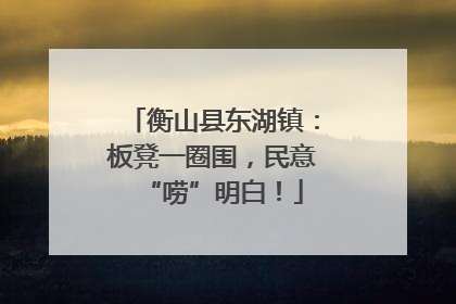 衡山县东湖镇：板凳一圈围，民意“唠”明白！