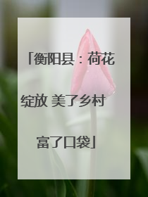 衡阳县：荷花绽放 美了乡村 富了口袋