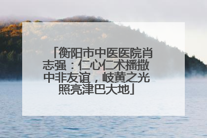 衡阳市中医医院肖志强：仁心仁术播撒中非友谊，岐黄之光照亮津巴大地