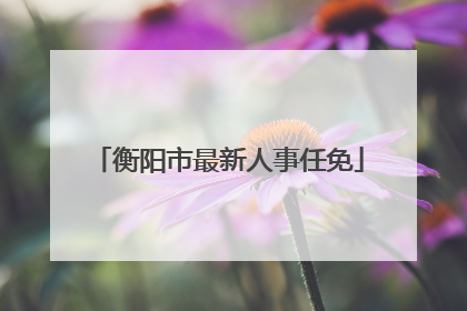 衡阳市最新人事任免