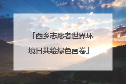 西乡志愿者世界环境日共绘绿色画卷