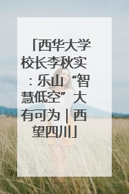 西华大学校长李秋实：乐山“智慧低空”大有可为｜西望四川
