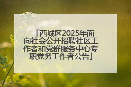 西城区2025年面向社会公开招聘社区工作者和党群服务中心专职党务工作者公告