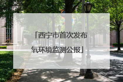 西宁市首次发布氧环境监测公报