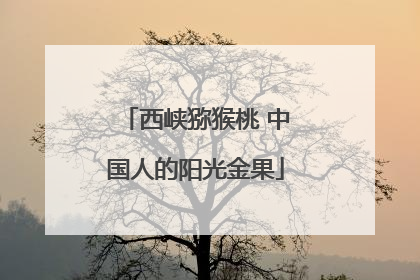 西峡猕猴桃 中国人的阳光金果