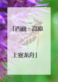 西藏：高原上赛龙舟