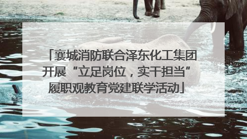襄城消防联合泽东化工集团开展“立足岗位，实干担当”履职观教育党建联学活动