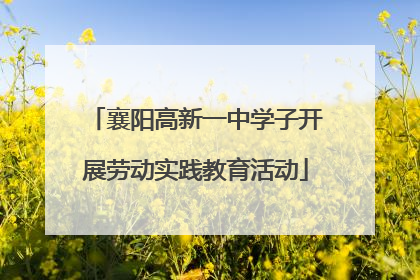 襄阳高新一中学子开展劳动实践教育活动