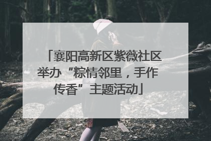 襄阳高新区紫薇社区举办“粽情邻里，手作传香”主题活动