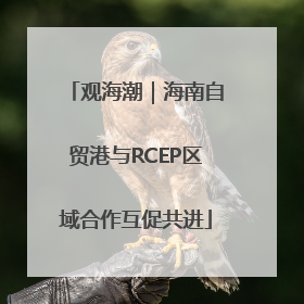 观海潮｜海南自贸港与RCEP区域合作互促共进