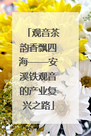 观音茶韵香飘四海——安溪铁观音的产业复兴之路