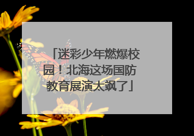 迷彩少年燃爆校园！北海这场国防教育展演太飒了