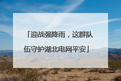 迎战强降雨，这群队伍守护湖北电网平安