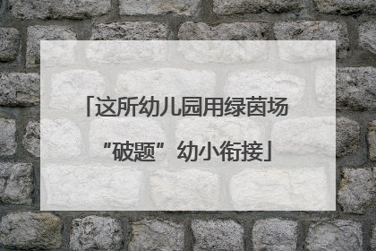这所幼儿园用绿茵场“破题”幼小衔接