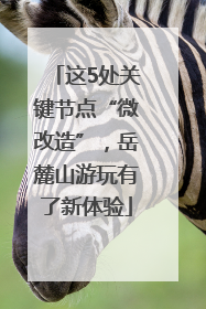 这5处关键节点“微改造”，岳麓山游玩有了新体验