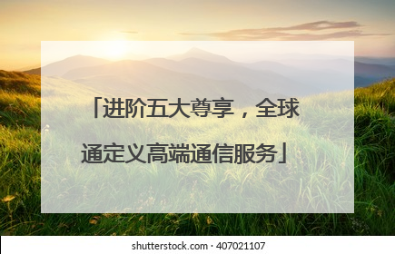 进阶五大尊享，全球通定义高端通信服务