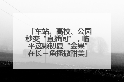 车站、高校、公园秒变“直播间”，临平这颗初夏“金果”在长三角播撒甜美