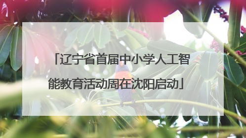 辽宁省首届中小学人工智能教育活动周在沈阳启动