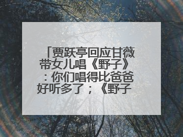 贾跃亭回应甘薇带女儿唱《野子》：你们唱得比爸爸好听多了；《野子》曾是贾跃亭“代表作”
