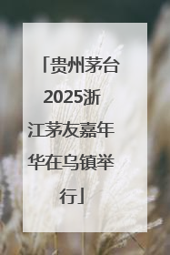 贵州茅台2025浙江茅友嘉年华在乌镇举行