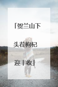 贺兰山下 头茬枸杞迎丰收