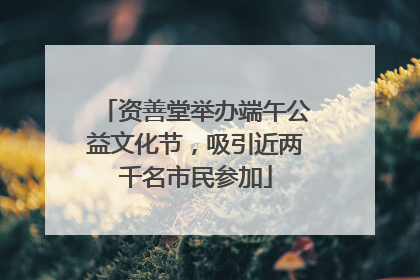 资善堂举办端午公益文化节，吸引近两千名市民参加