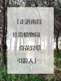 走进南昌珍奇植物园：奇花异草引游人