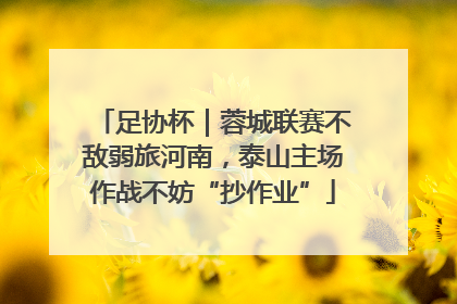 足协杯｜蓉城联赛不敌弱旅河南，泰山主场作战不妨“抄作业”