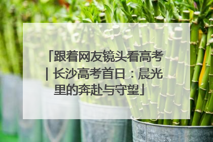 跟着网友镜头看高考｜长沙高考首日：晨光里的奔赴与守望
